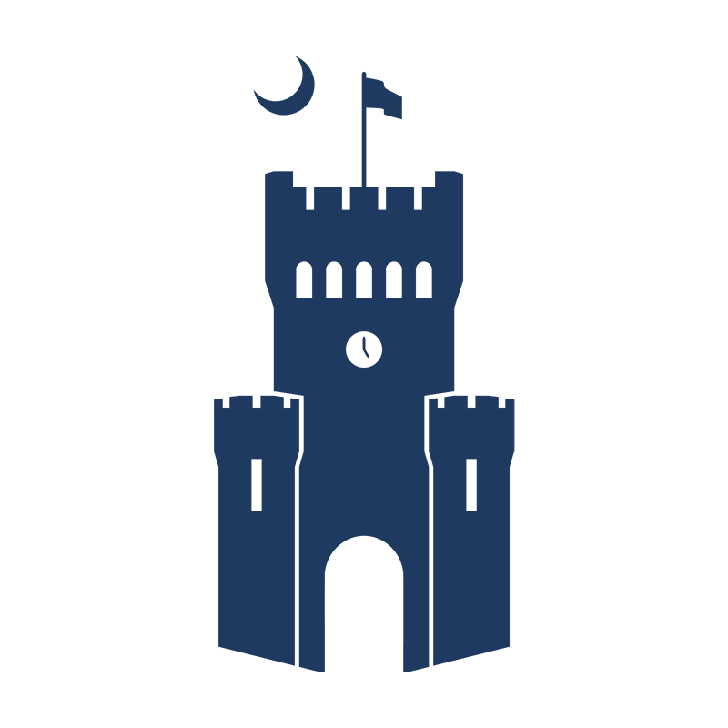 the citadel logo