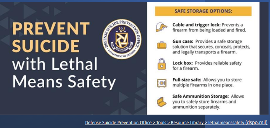 Prevent suicide with lethal means safety graphic