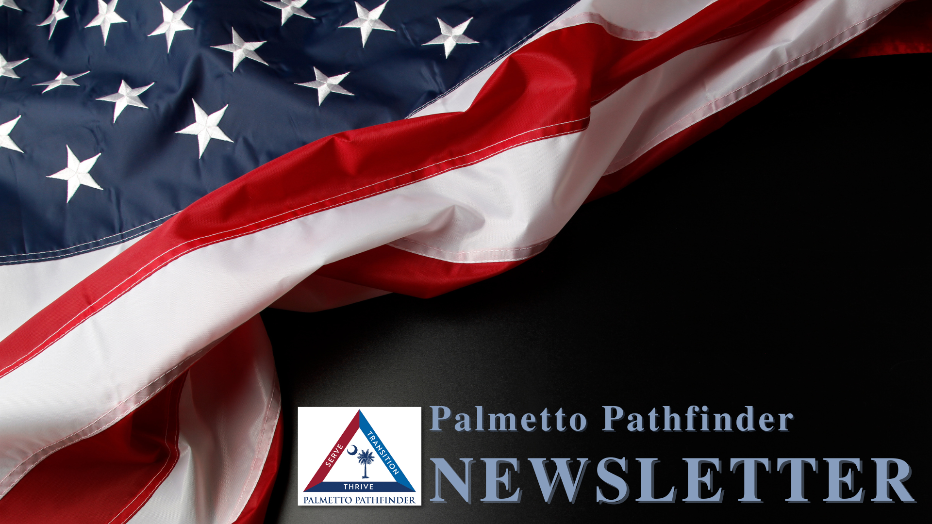 palmetto pathfinder newsletter